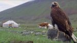 The Eagle Huntress – Η Κυνηγός με τον Αετό