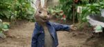 Peter Rabbit – Πίτερ Ράμπιτ