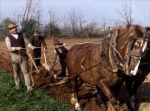 L’albero degli zoccoli – Το δέντρο με τα τσόκαρα (Επανέκδοση)