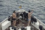 Chevalier