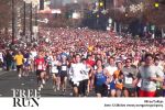Free to Run