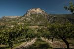 Le goût des merveilles – Η Αγάπη είναι ένα θαύμα