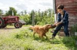 A Dog’s Purpose – Ο Καλύτερος Φίλος μου