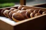 An (Sweet Bean) – Γλυκό Φασόλι