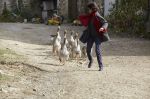 Médecin de campagne – Γιατρός στο Χωριό