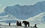 The Eagle Huntress – Η Κυνηγός με τον Αετό