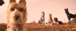 Isle of Dogs – Το Νησί των Σκύλων