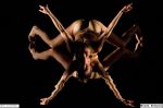 Viva Momix!