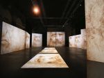 Leonardo Da Vinci: 500 Years of Genius