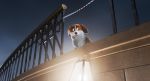 The Queen’s Corgi - Corgi: Το Σκυλάκι της Βασίλισσας