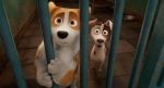 The Queen’s Corgi - Corgi: Το Σκυλάκι της Βασίλισσας