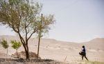 Una especie de familia – Μια Ιδιαίτερη Οικογένεια