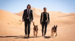 John Wick: Chapter 3 Parabellum - John Wick: Κεφάλαιο 3