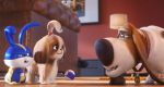 The Secret Life of Pets 2 - Μπάτε σκύλοι αλέστε 2