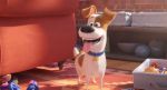 The Secret Life of Pets 2 - Μπάτε σκύλοι αλέστε 2