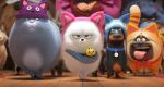 The Secret Life of Pets 2 - Μπάτε σκύλοι αλέστε 2