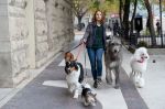 A Dog’s Journey – ‘Ενας Αληθινός Φίλος