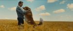 A Dog’s Journey – ‘Ενας Αληθινός Φίλος