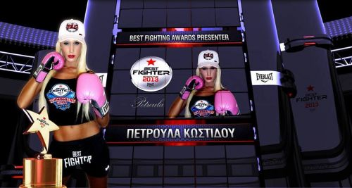 BEST FIGHTER 2013